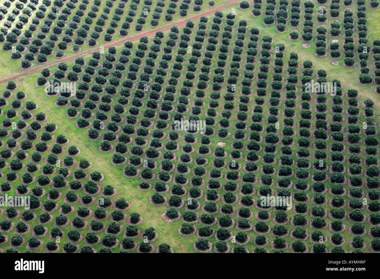 Layout of plantation hi-res stock photography and images - Alamy