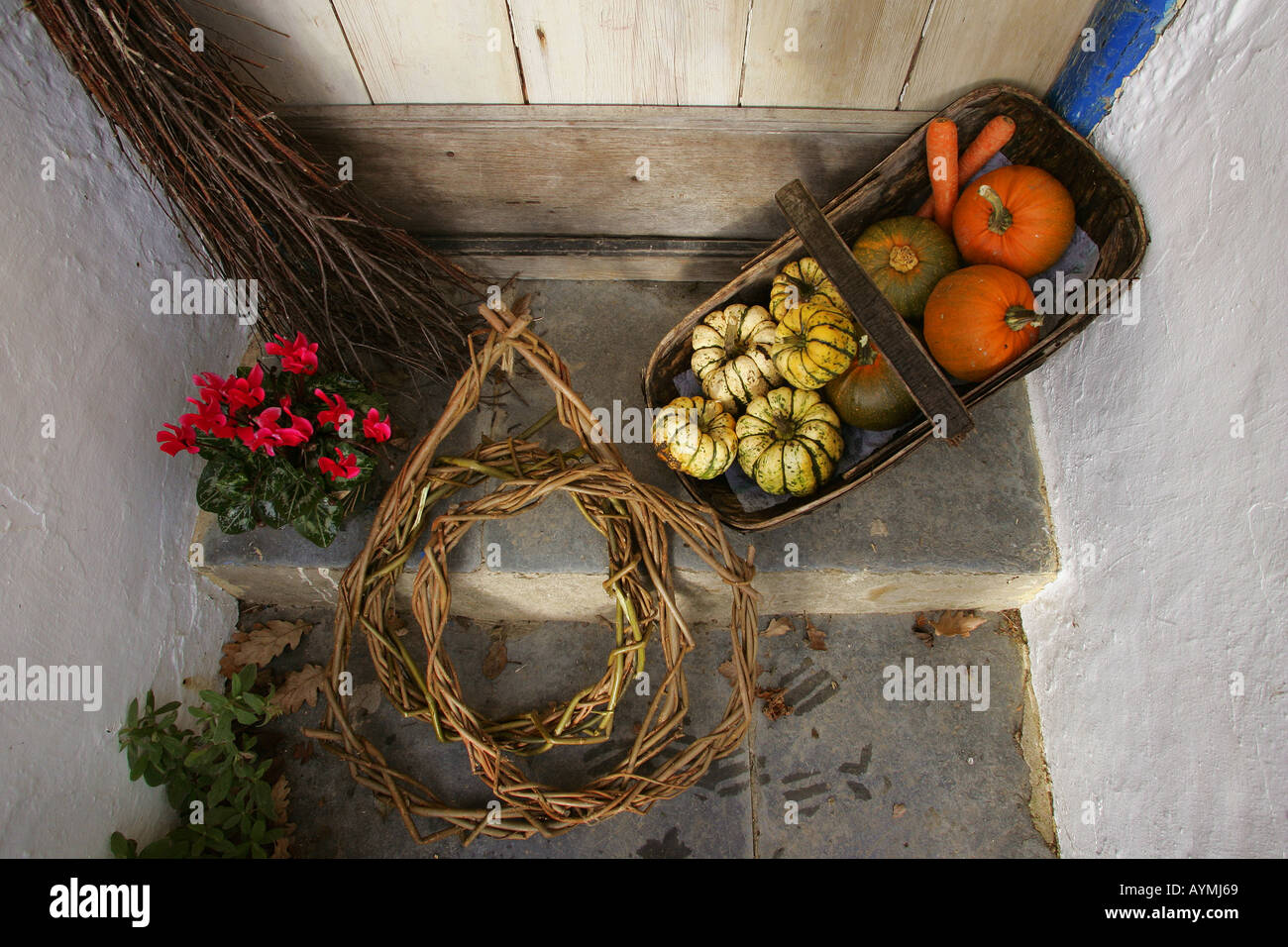 Organic vegatable growing Cornwall UK Stock Photo