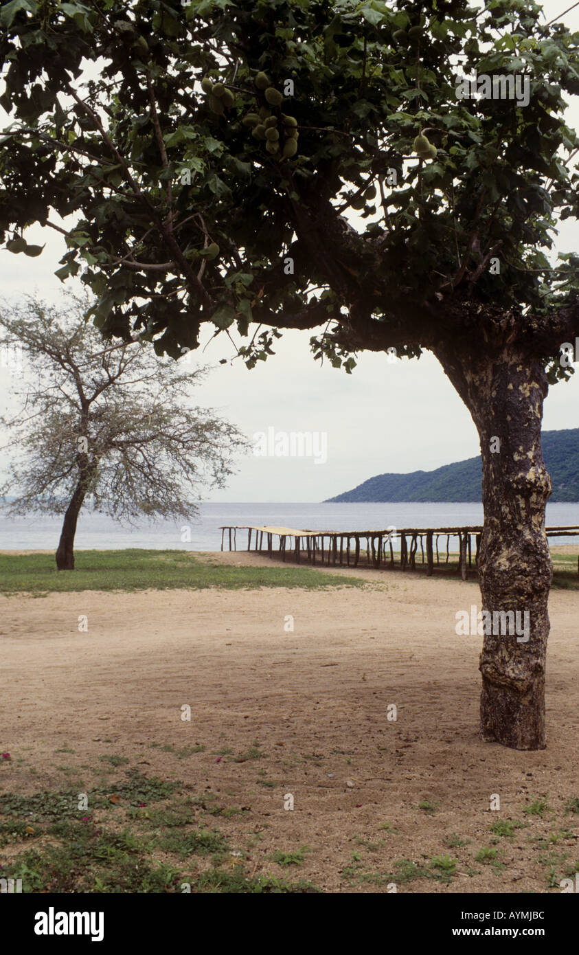 View of Lake Malawi with lake fish drying  on a rack near the village of Chembe, Lake Malawi, Cape Maclear, Malawi Stock Photo