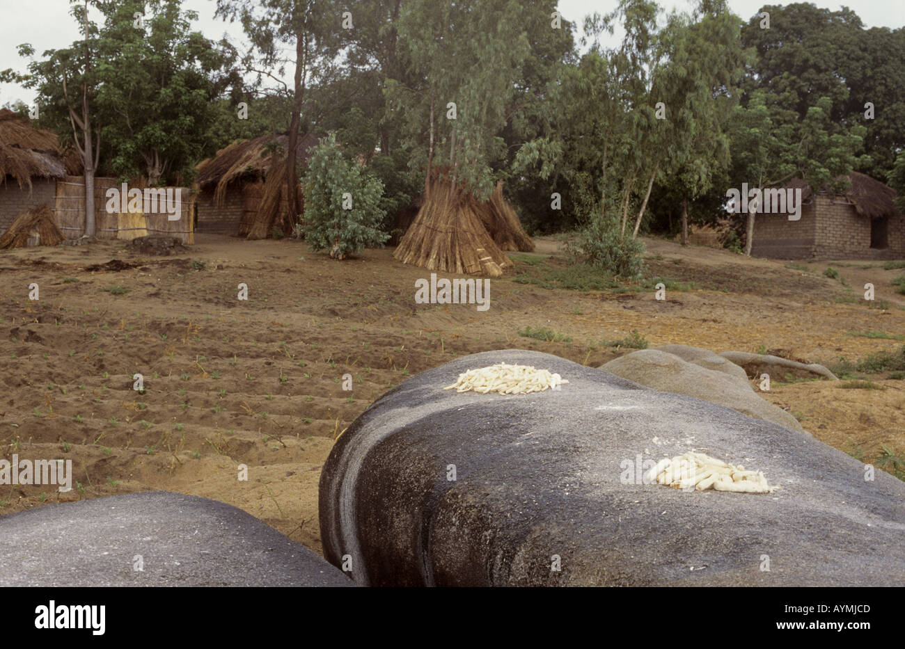 Cassava drying on boulders in the sun - Village of Nkhotakota, Lake Malawi, Malawi Stock Photo