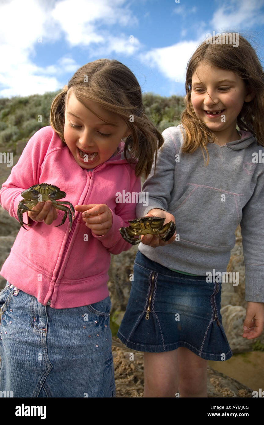Young girls aged six and eight holding crabs at the seaside. Woolacombe Devon. Stock Photo