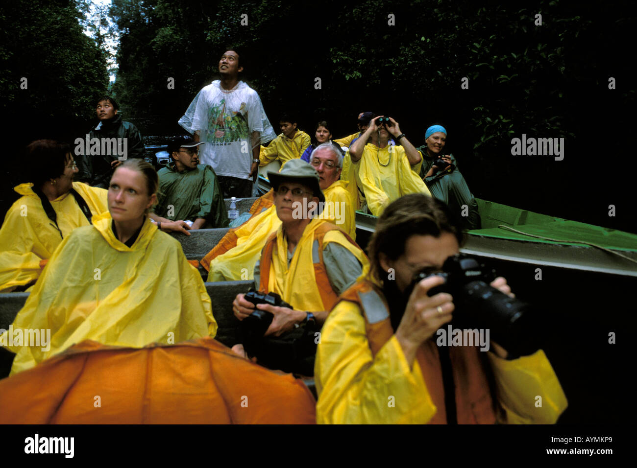 Sabah tourists exploring the jungle by boat Stock Photo