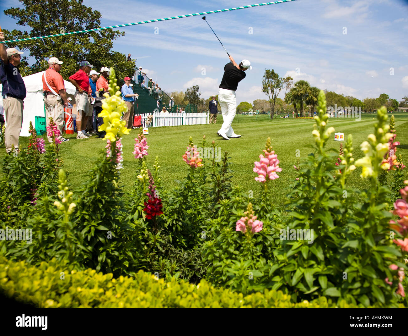 Yogi berra in golf tournament hires stock photography and images Alamy