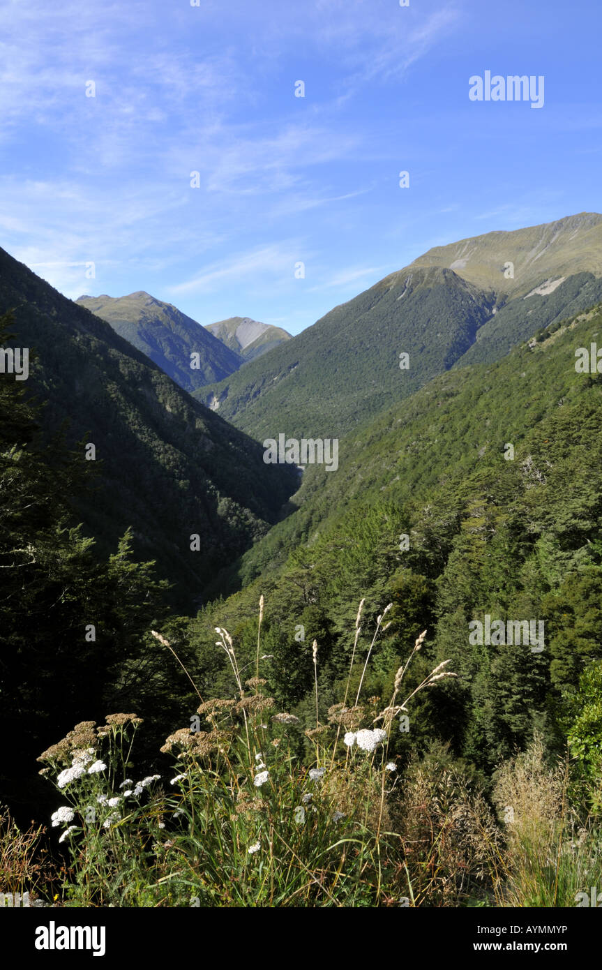 Lewis Pass South Island New Zealand Stock Photo Alamy