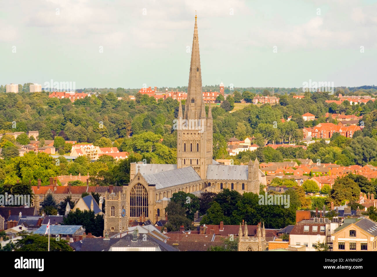 Historic medieval Norwich Cathedral from City Hall clock tower Stock