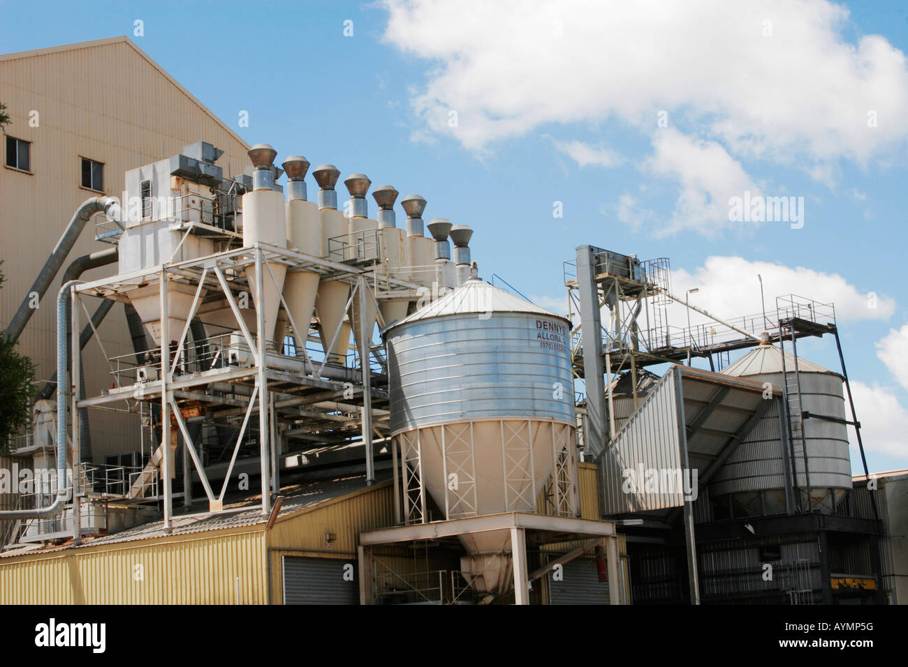 Peanut Plant High Resolution Stock Photography and Images Alamy