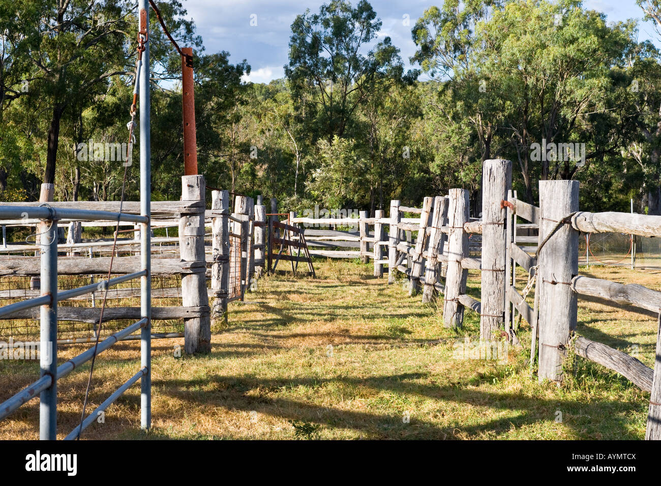 Cattle yard hires stock photography and images Alamy