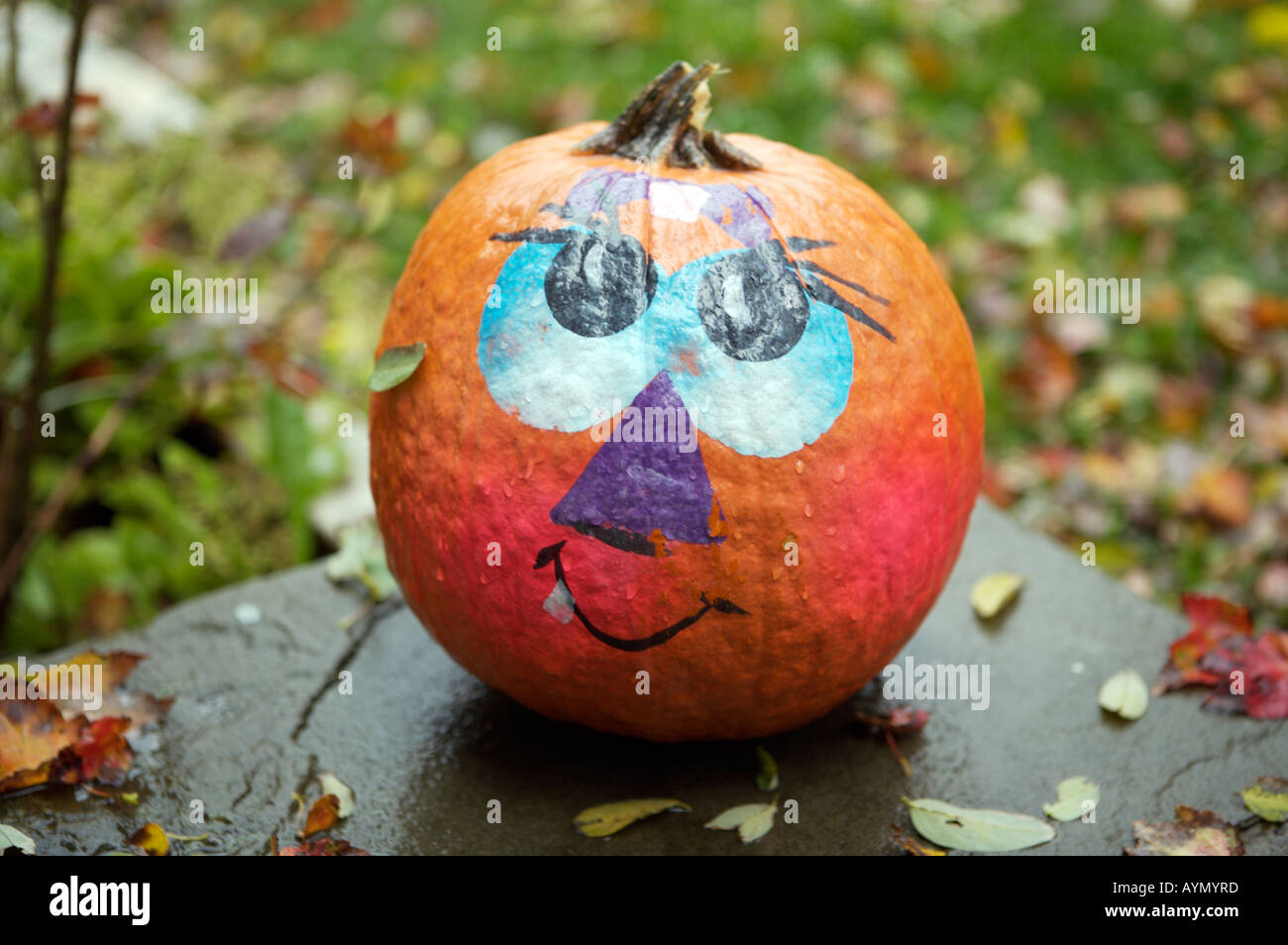 Halloween pumpkin in the autumn with painted funny face Stock Photo