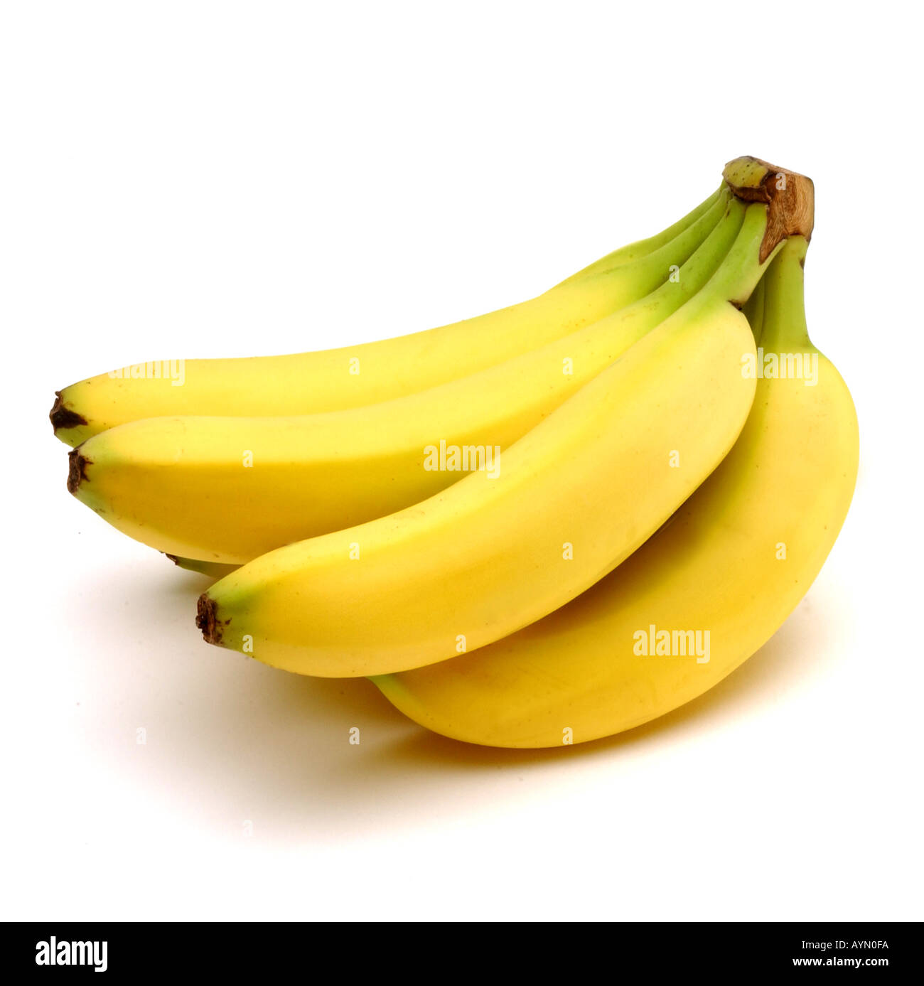 A bunch of bananas on a white background Stock Photo - Alamy