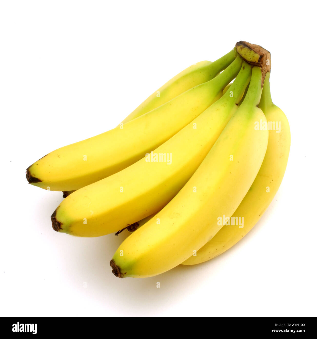 A bunch of bananas on a white background Stock Photo - Alamy