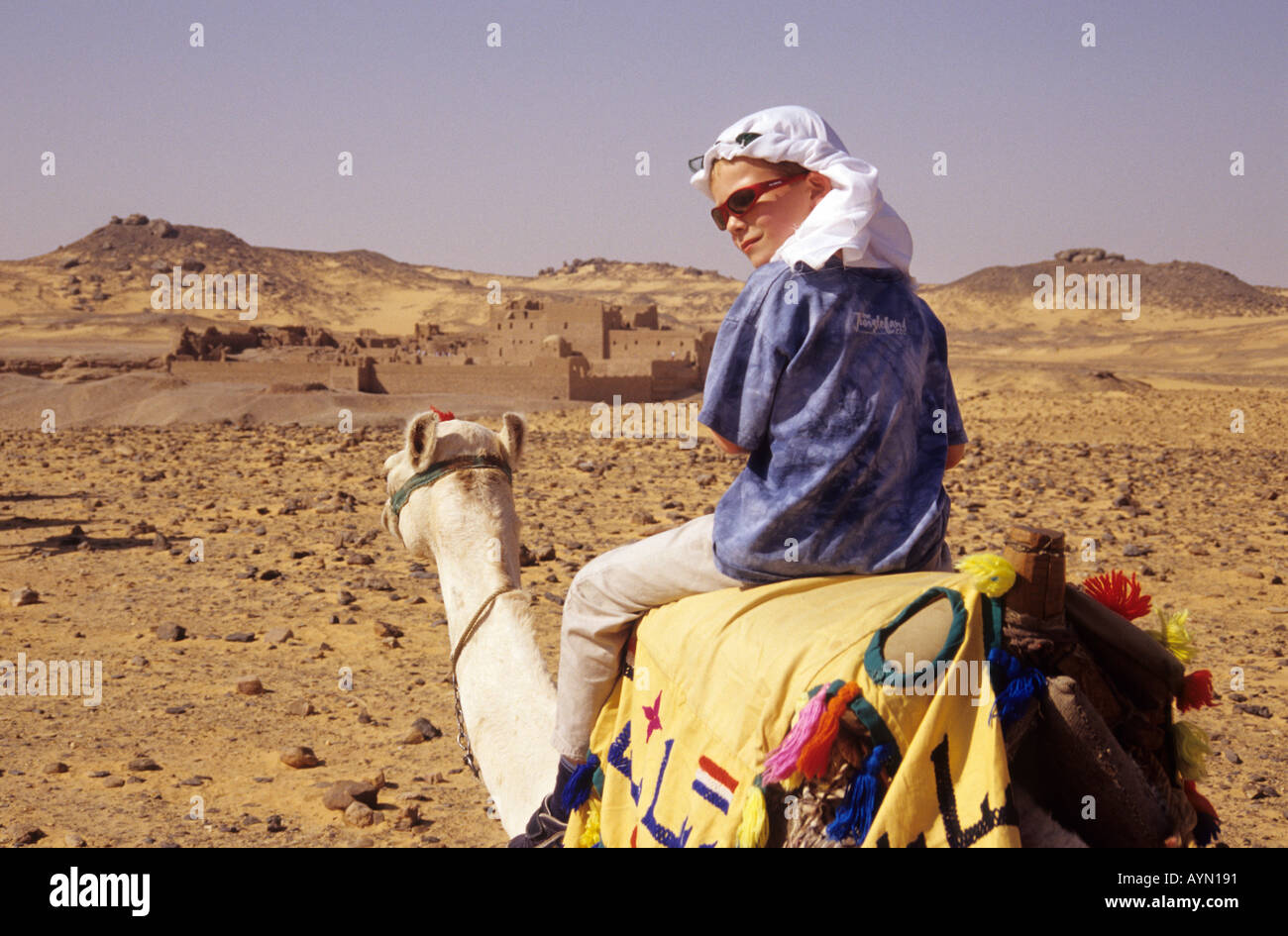 Boy riding camel on safari in the desert towards monastery egypt north ...