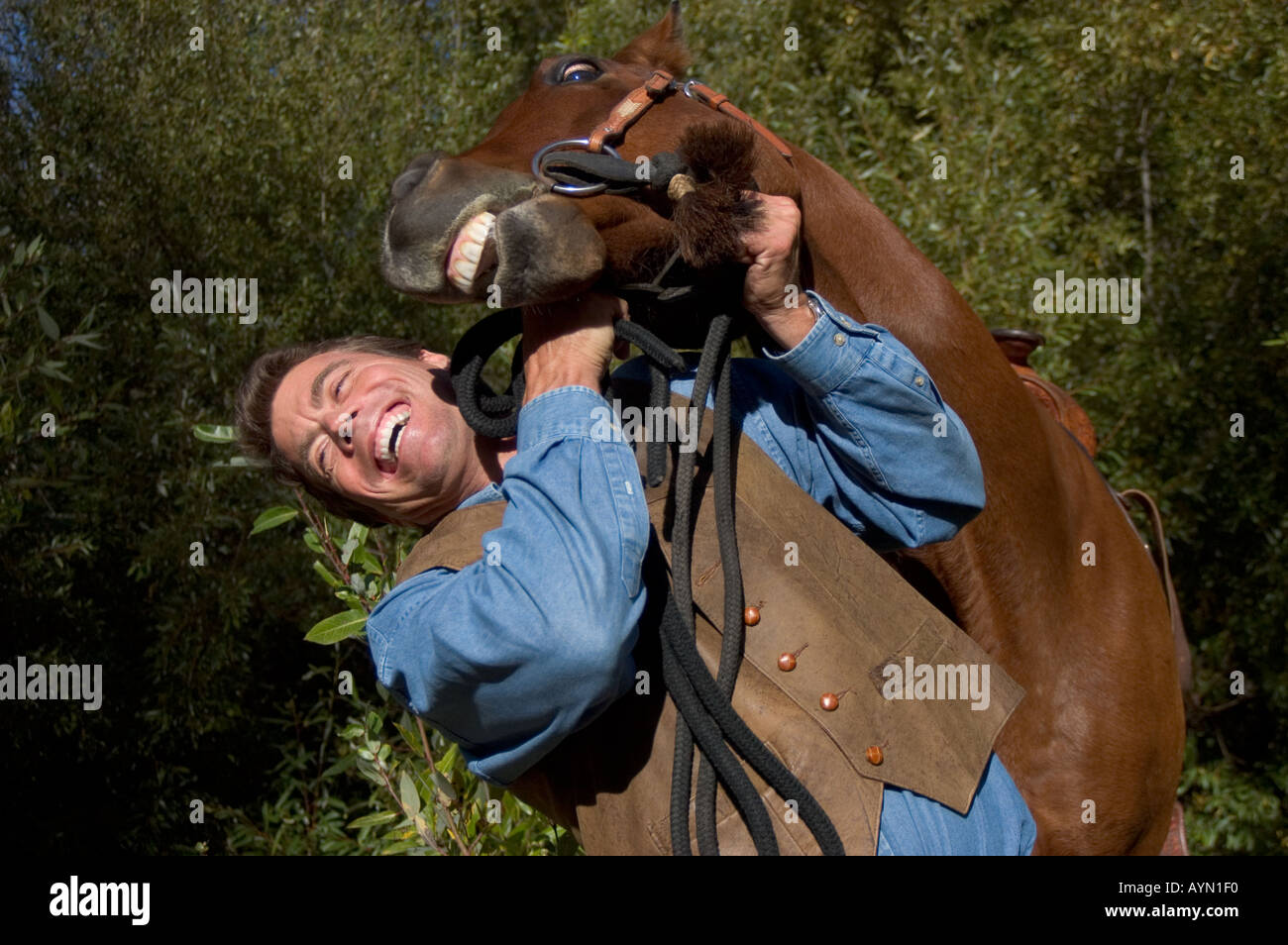 A cowboy plays around with his faithful horse Stock Photo