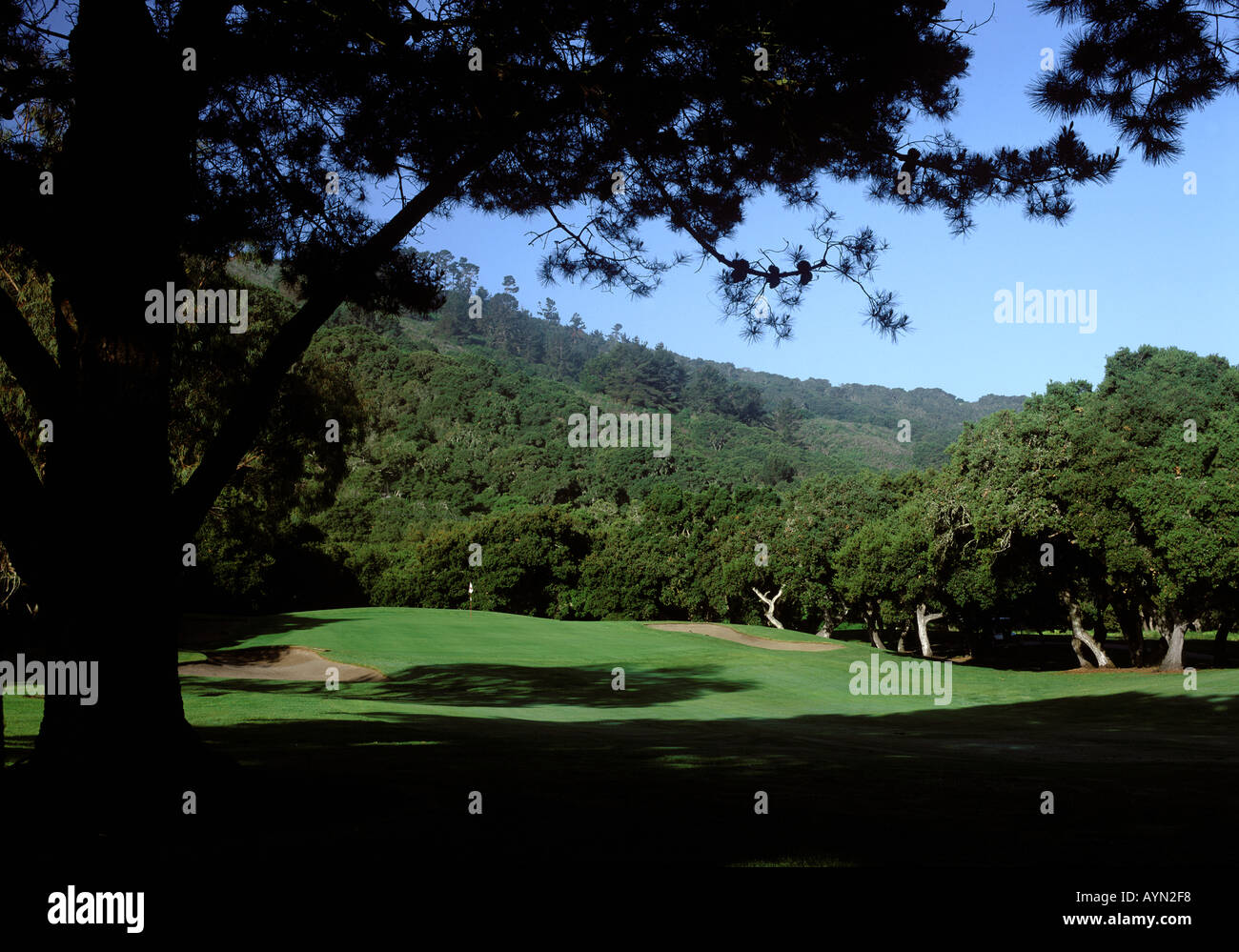 Laguna Seca Golf >> The 5th Green Of Laguna Seca Golf Course Monterey California Stock Laguna Seca Golf >> The 5th Green Of Laguna Seca Golf Course Monterey California Stock