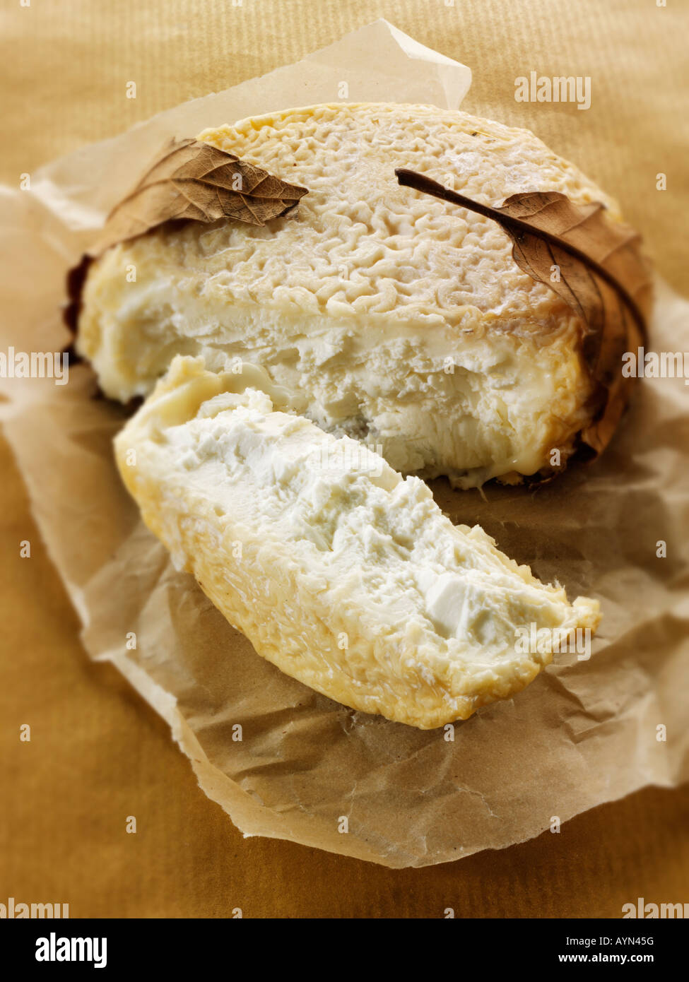 French Goats ( Chevre) Cheese from Nornmandy Soft Focus Stock Photo