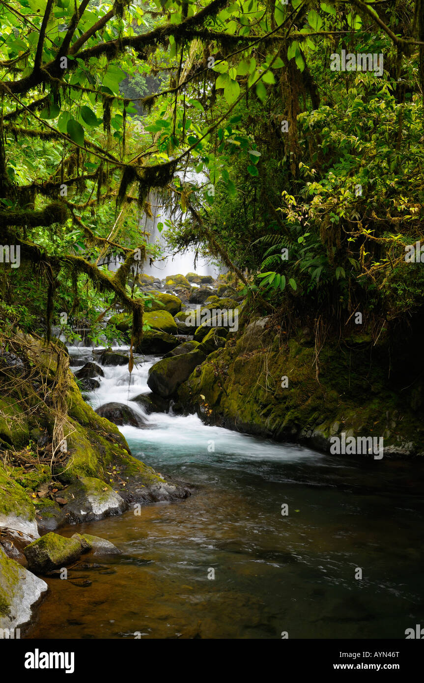 Tropical rainforest jungle stream with waterfall at Poas volcano La Paz Waterfall Gardens Costa Rica Stock Photo