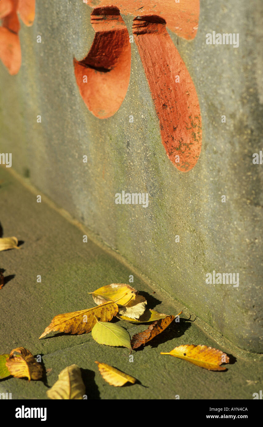 Detail of a carved Japanese character with fallen leaves at Narita san Shinsho ji Temple in Fall. Stock Photo