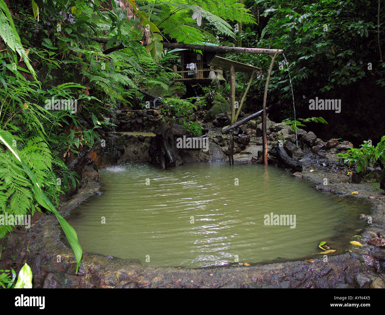 Therapeutic hot sulphur pools at Screws Sulphur Spa in the Roseau