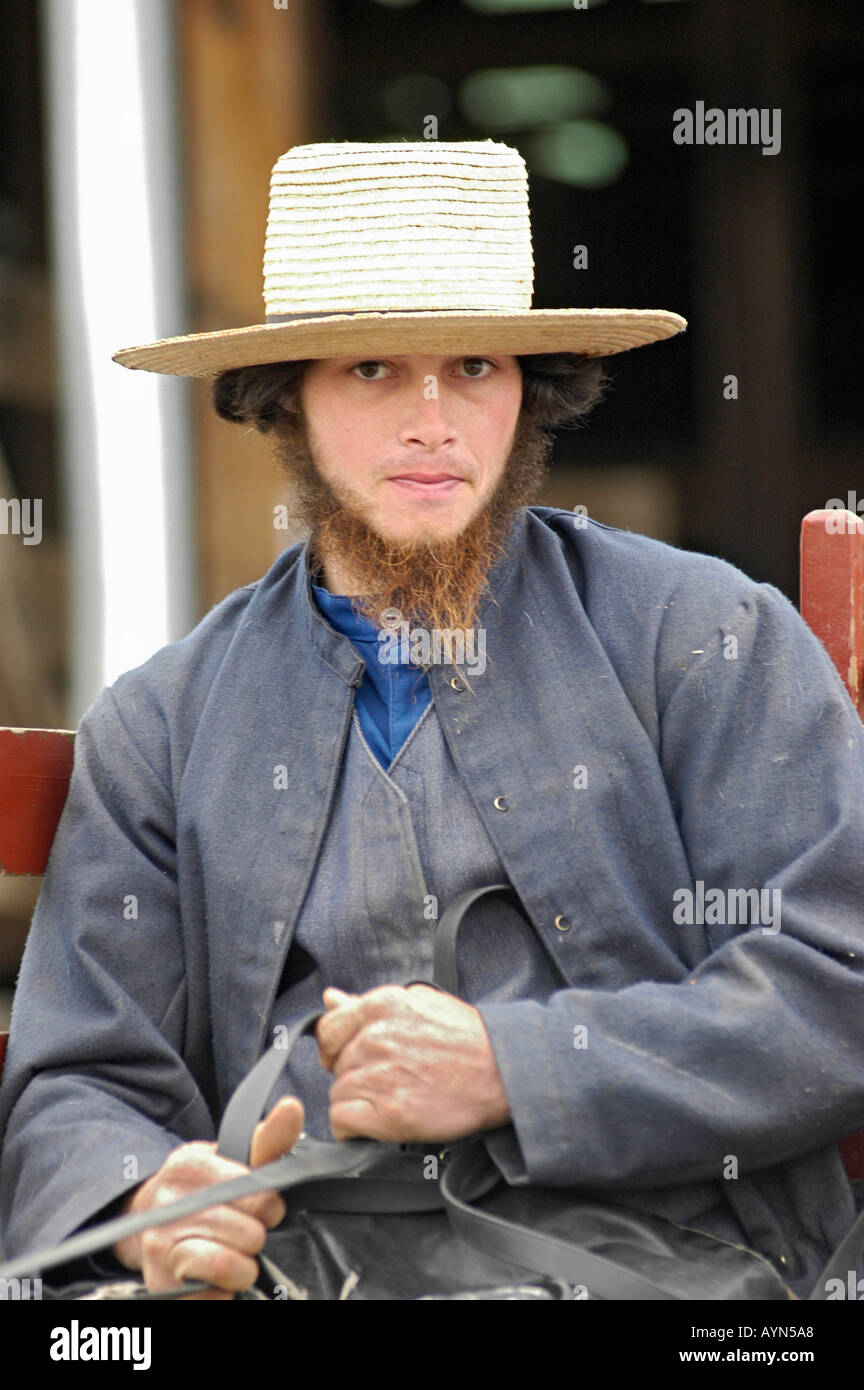 Young Amish farmer on the way to market in a buggy in USA some with ...