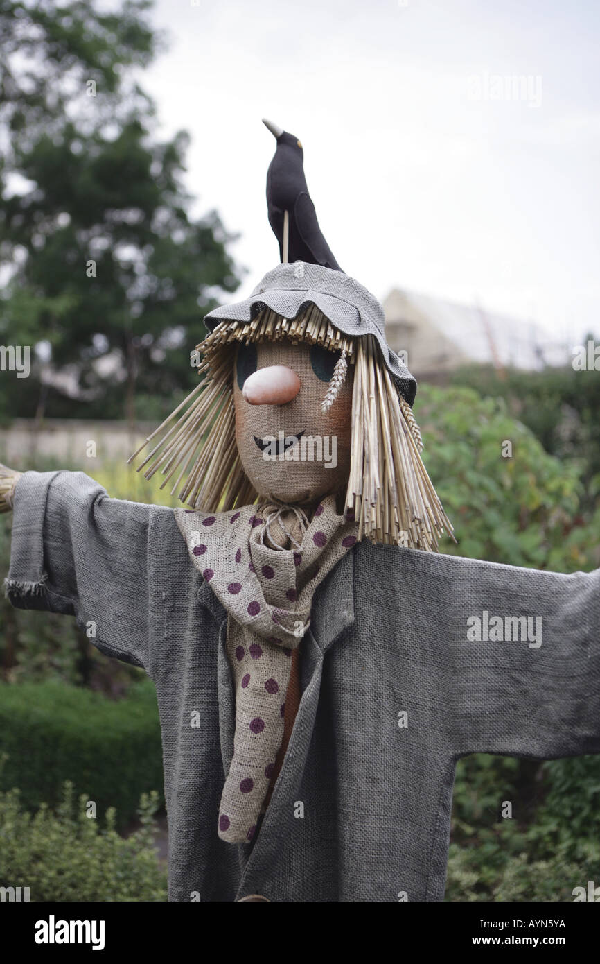 A Scarecrow frightening the birds in the Vegetable garden at Barnsley House, once the home  of Rosemary Verey now a hotel Stock Photo