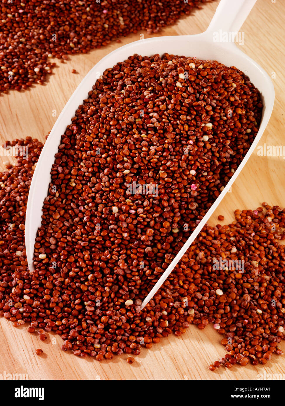 RED QUINOA IN SCOOP Stock Photo