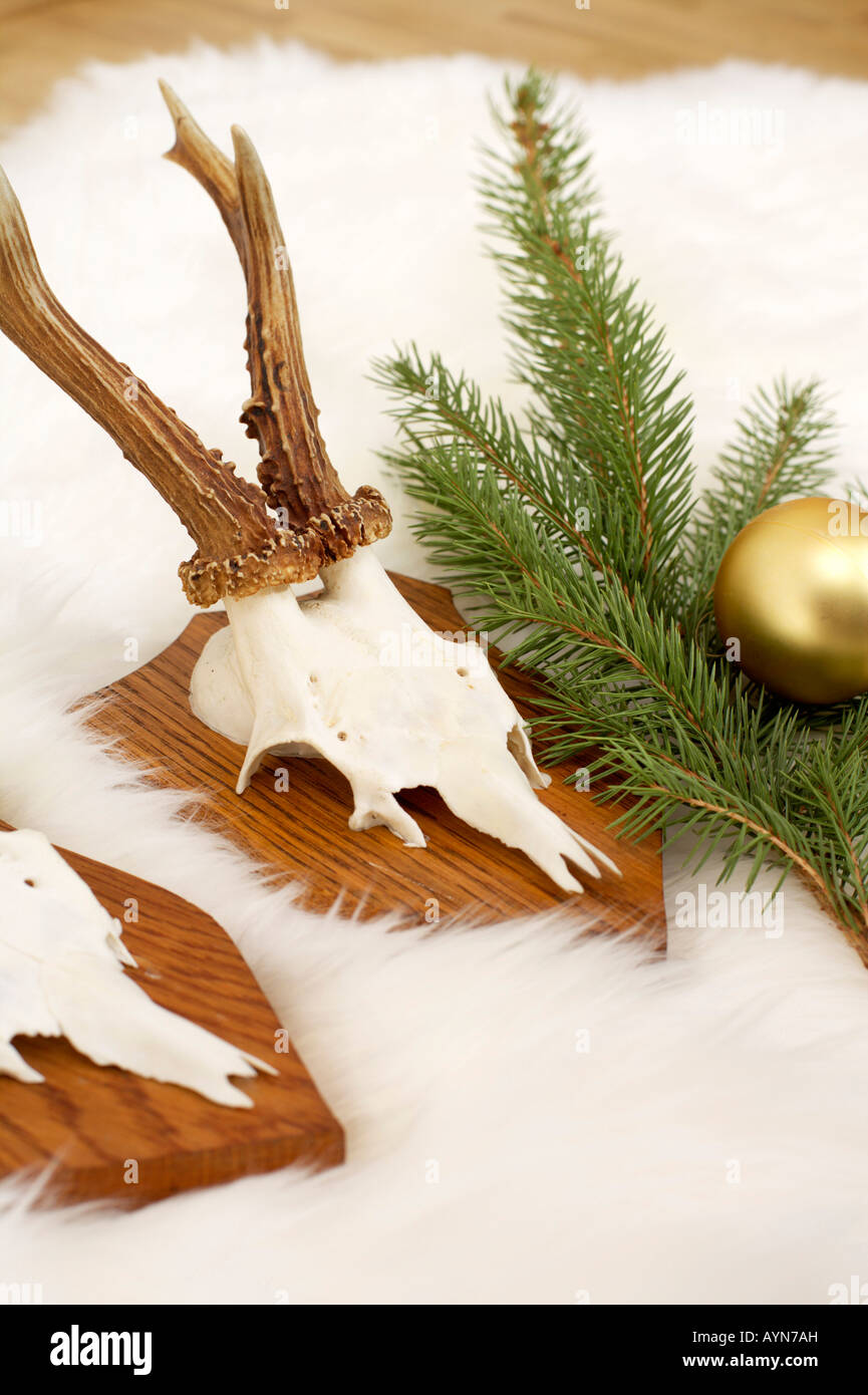 Fur carpet hires stock photography and images Alamy