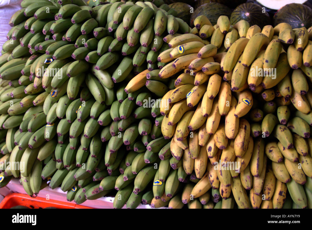 Bananas on sale in the Mercado dos Lavradores, Funchal, Madeira Stock Photo 9798392 Alamy
