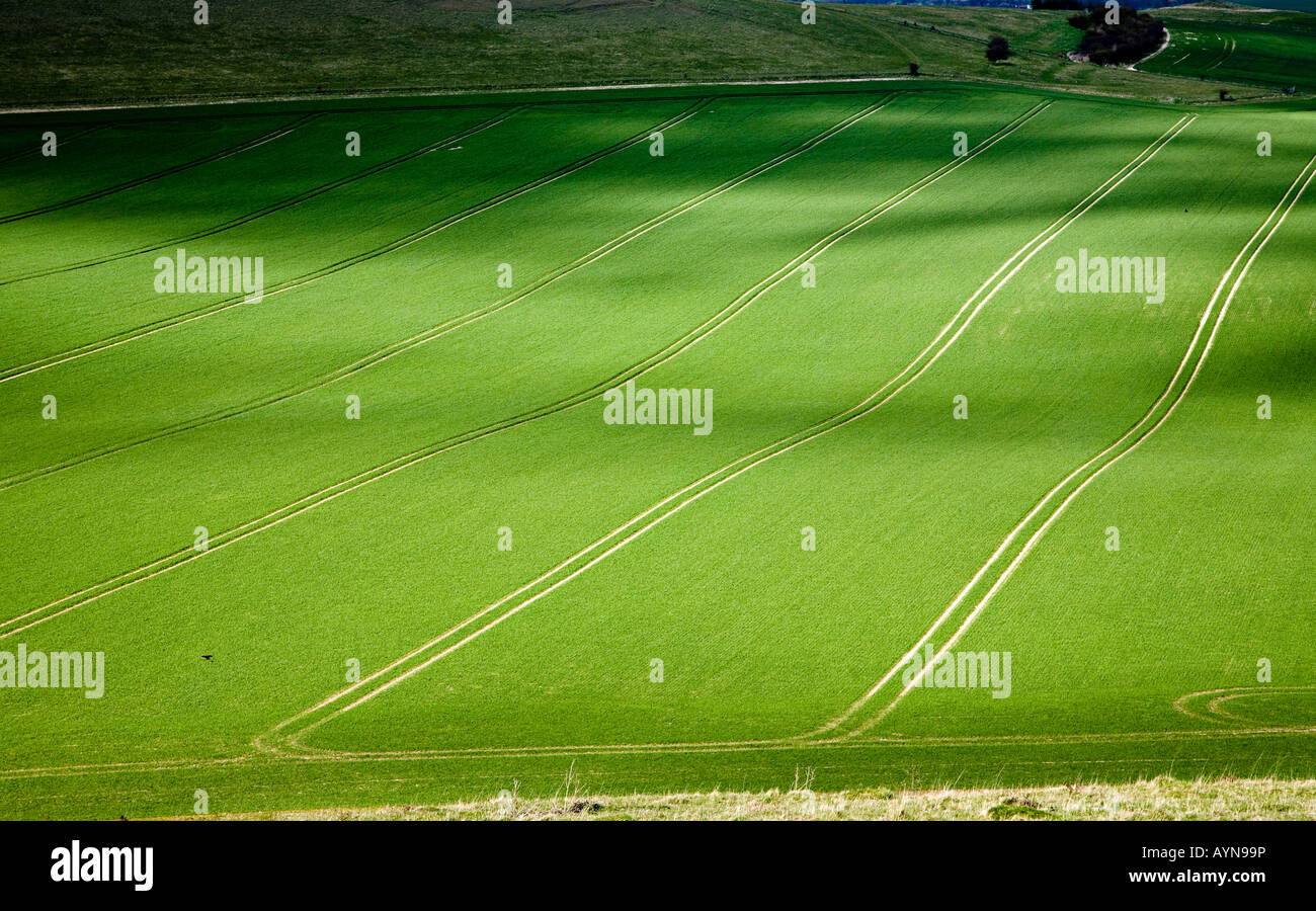 Chalk soil hires stock photography and images Alamy