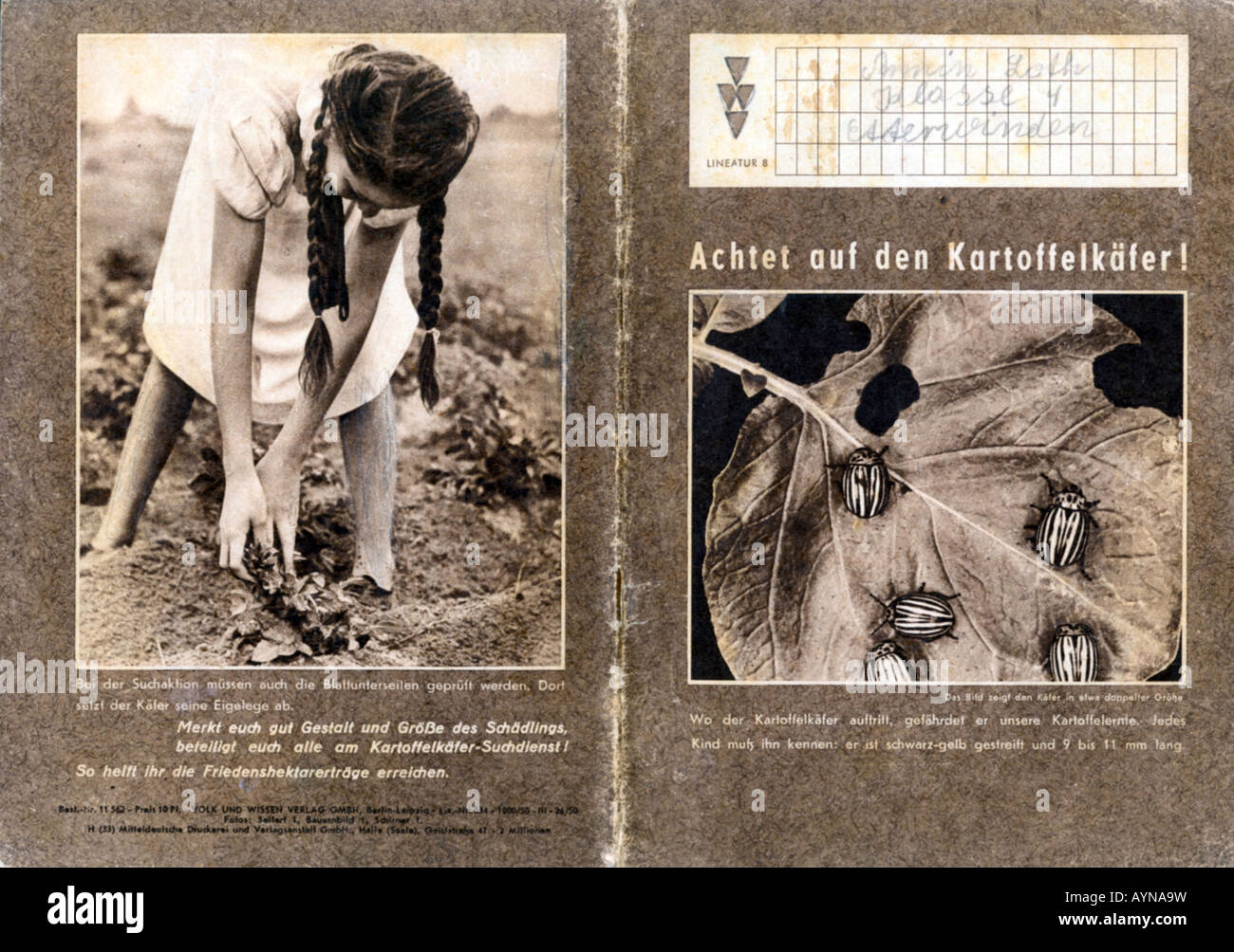 education, educational material, arithmetic excersise book with Agitation for fight against potato beetle on cover, publishing house Verlag Volk und Wissen Berlin, GDR, 1950s, Stock Photo