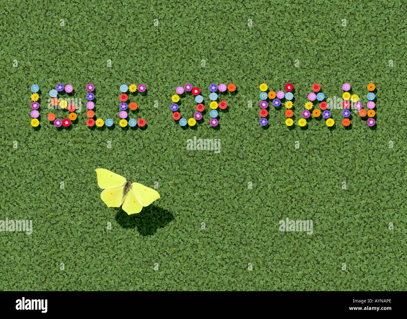 Isle of Man written with flowers plus flying brimstone spelled out