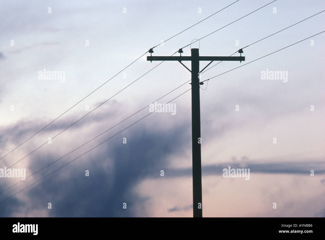 Telephone poles and wires on a country road Stock Photo Alamy