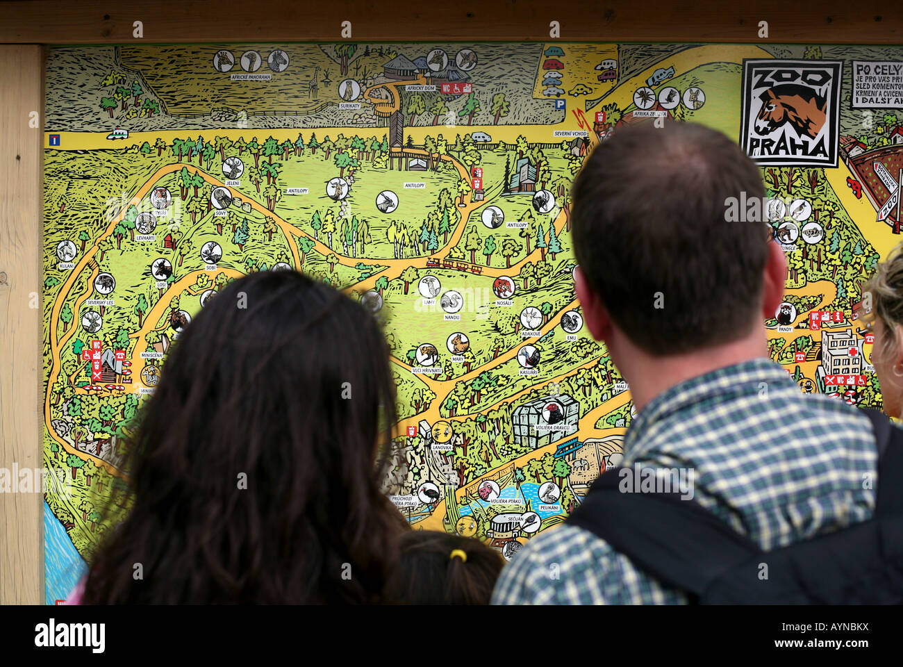 Visitors examining a map of Prague Zoo, Czech Republic Stock Photo