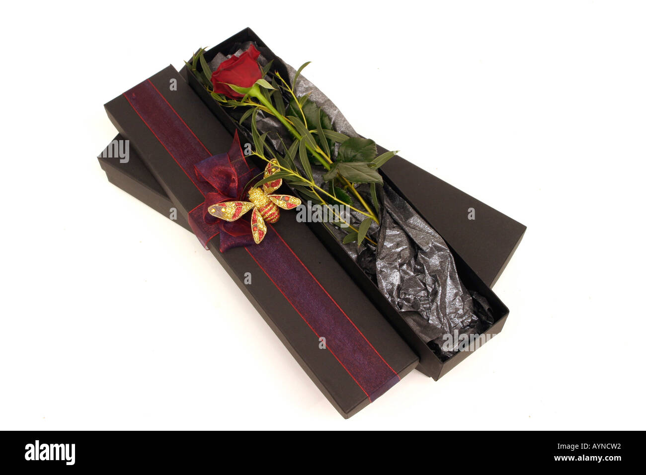 A Single Red Rose Stock Photo - Alamy