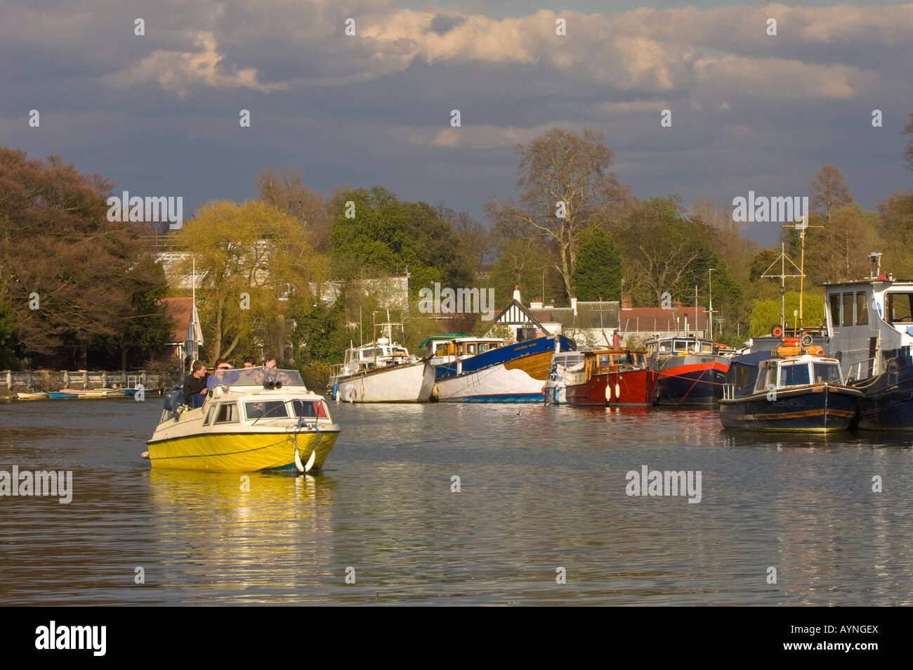 River Thames in Twickenham TW10 Surrey United Kingdom Stock Photo