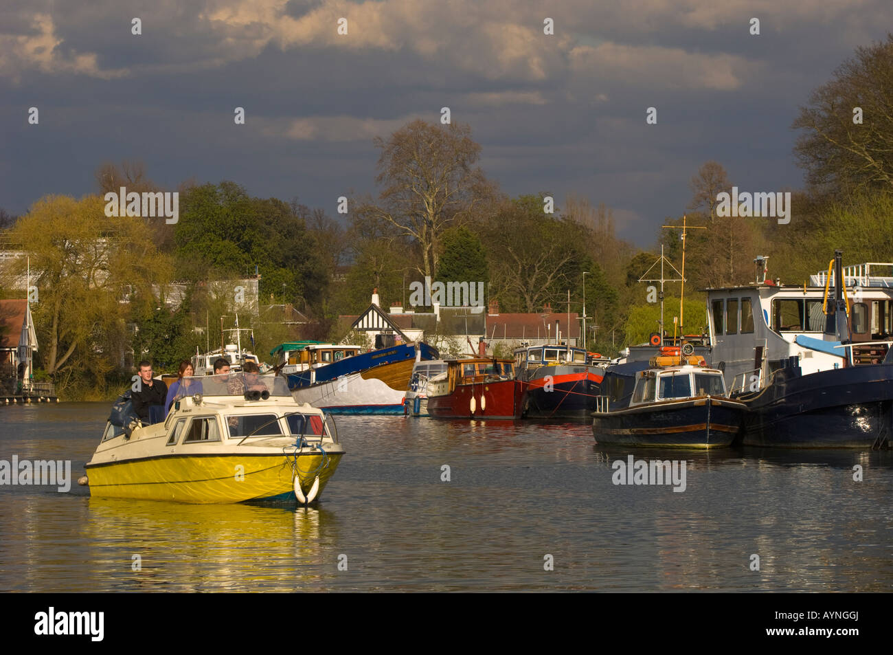 River Thames in Twickenham TW10 Surrey United Kingdom Stock Photo