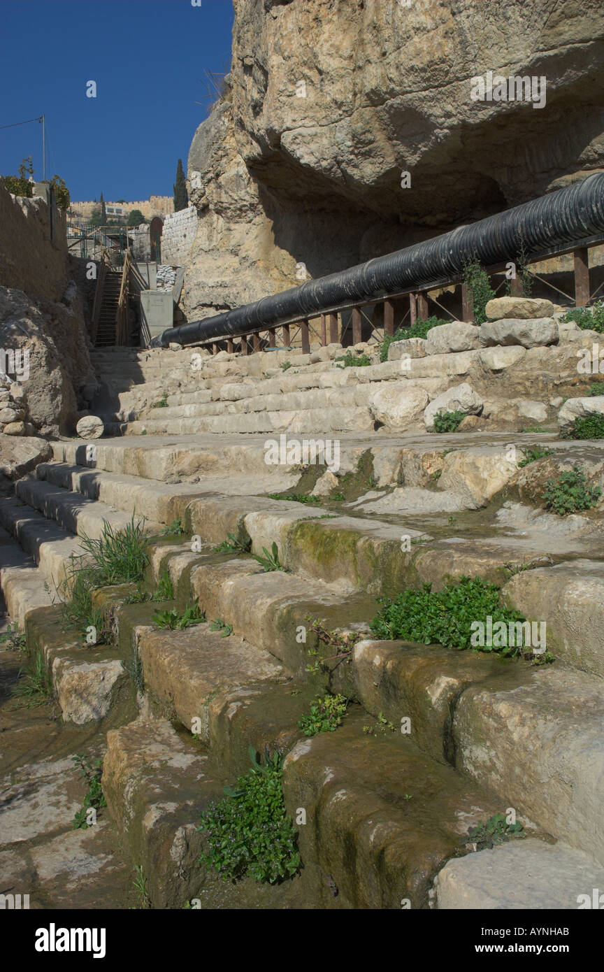 Israel Jerusalem Village of Silwan new pool of the Siloah 2nd temple period discovered 2004 vertical Stock Photo