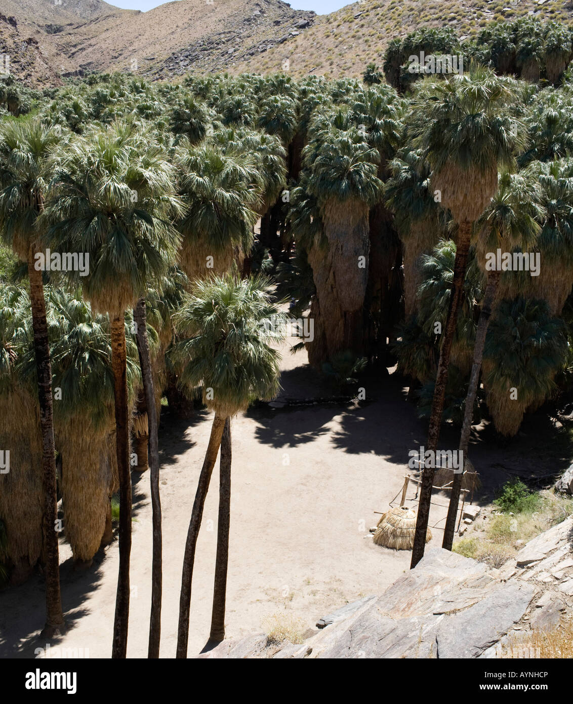 Land In Palm Springs