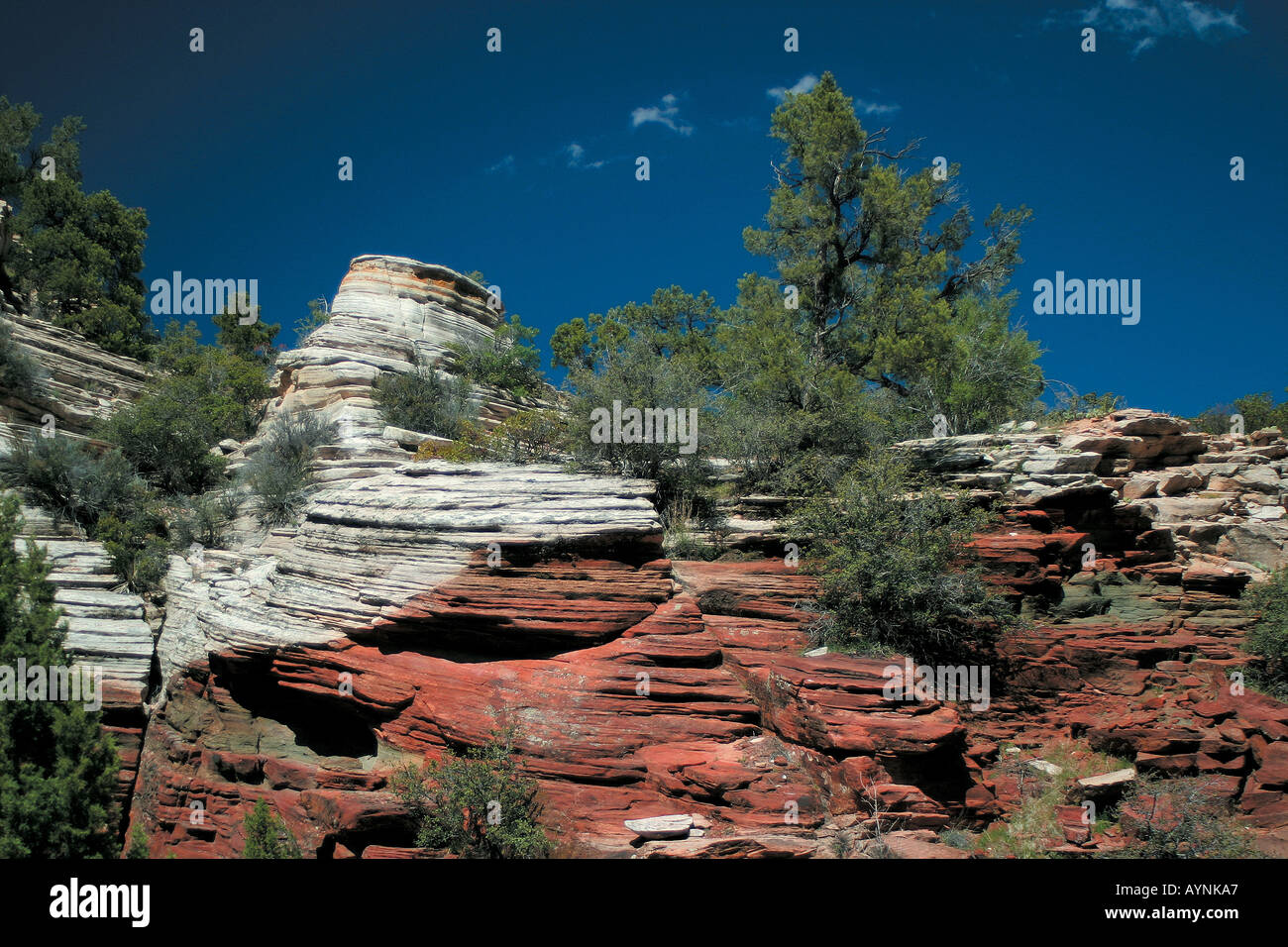 Rotes und weisses Gestein Utah USA Stock Photo