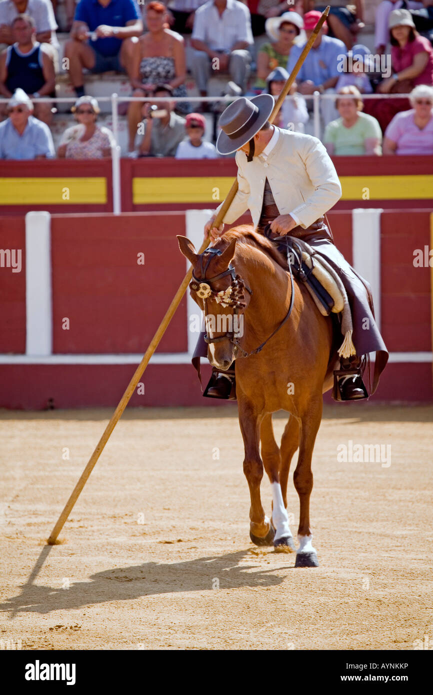 Horses in a show horse fair fuengirola malaga sun coast andalusia spain