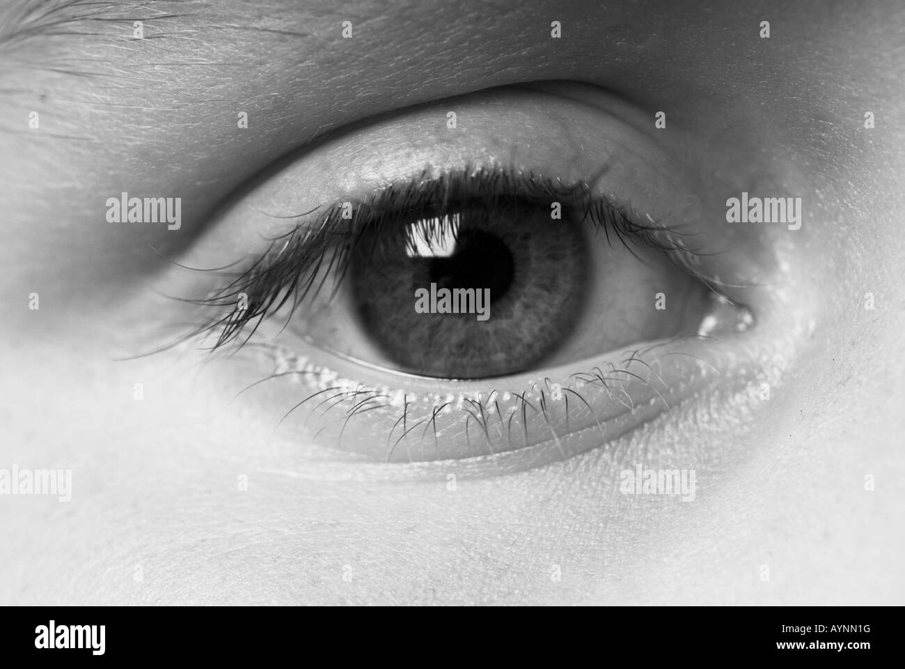 Stock photo of a cclose up shot of a childs eye in black and white ...