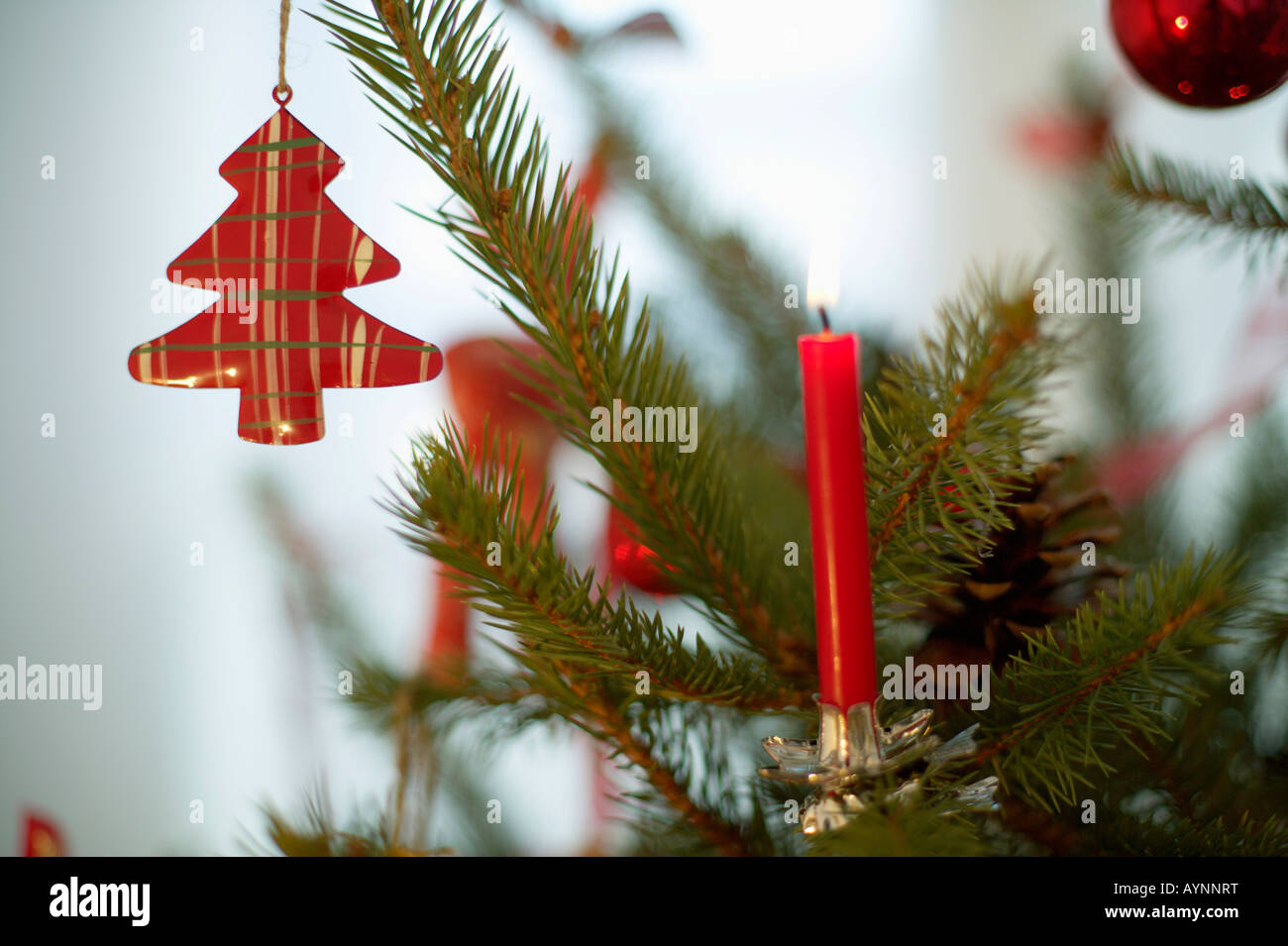 Burning candle on Christmas tree Stock Photo Alamy