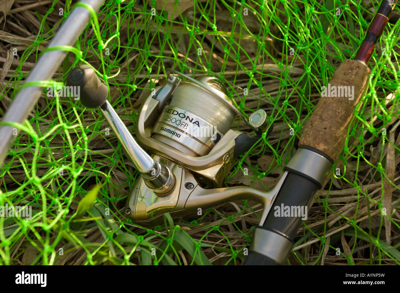 Shimano Sedona Spinning Reel – Anglers Lagoon