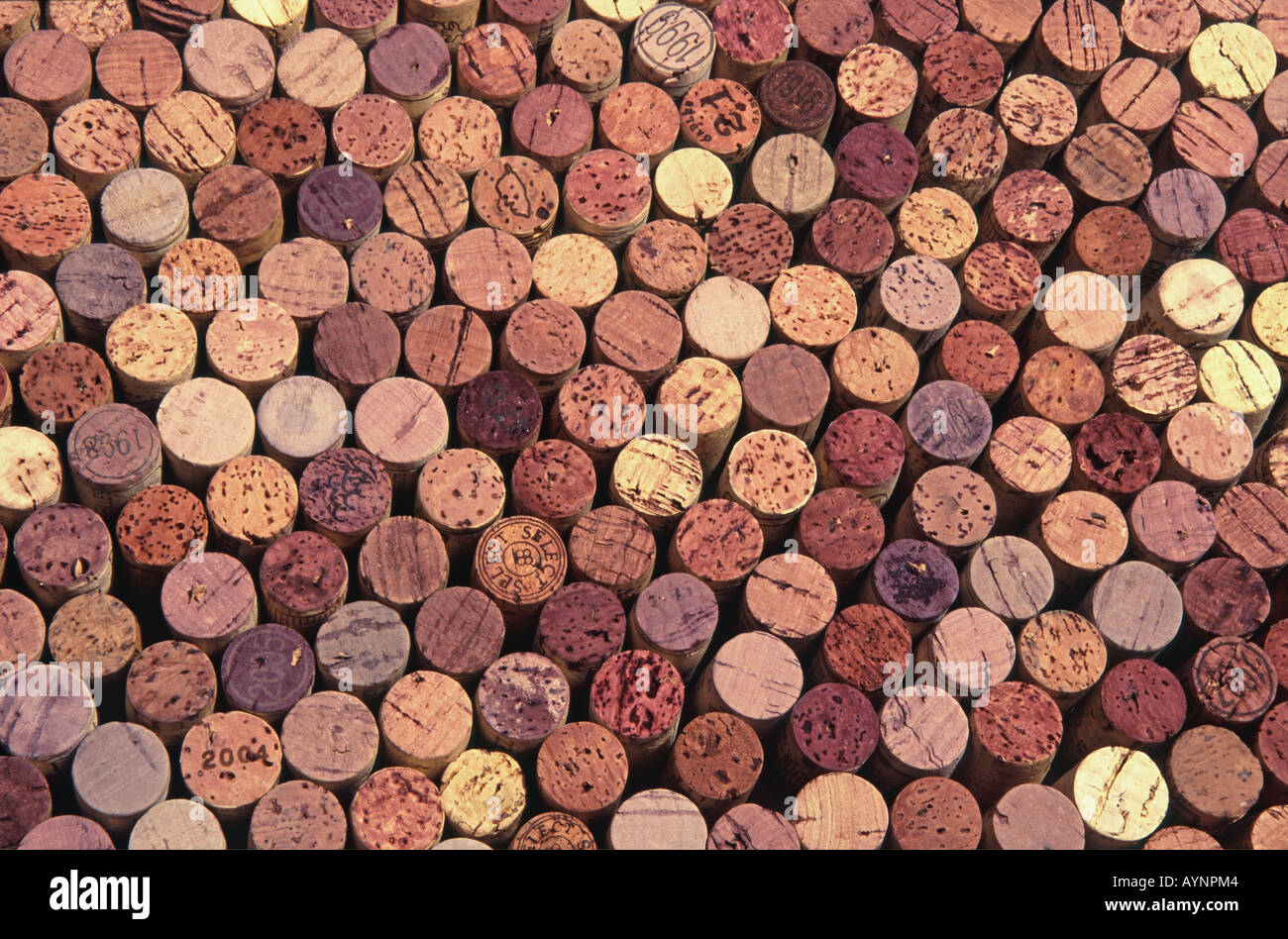 Win bottle corks Stock Photo