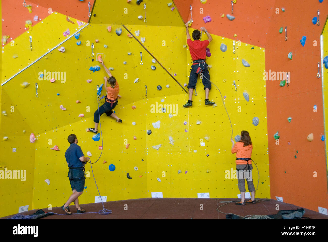 FOUR PEOPLE PRACTISING INDOOR ROCK CLIMBING IN A SPORT CENTER Stock