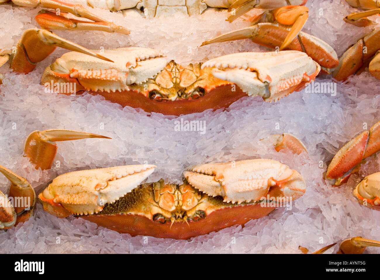 Dungeness crabs pike place market hires stock photography and images