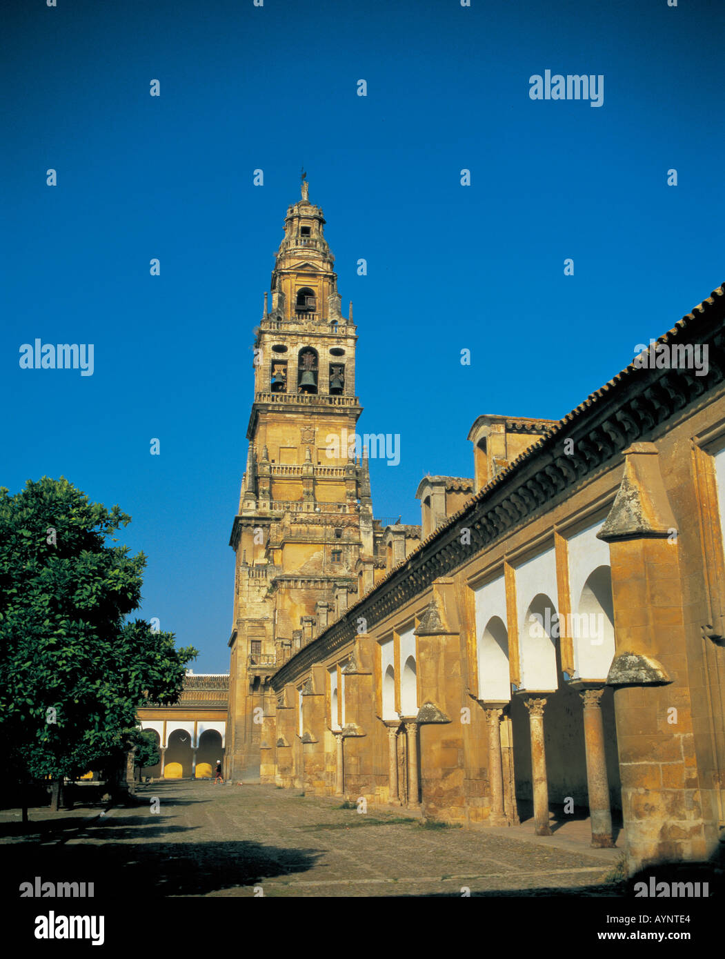 Architectural Building with Arch Stock Photo - Alamy