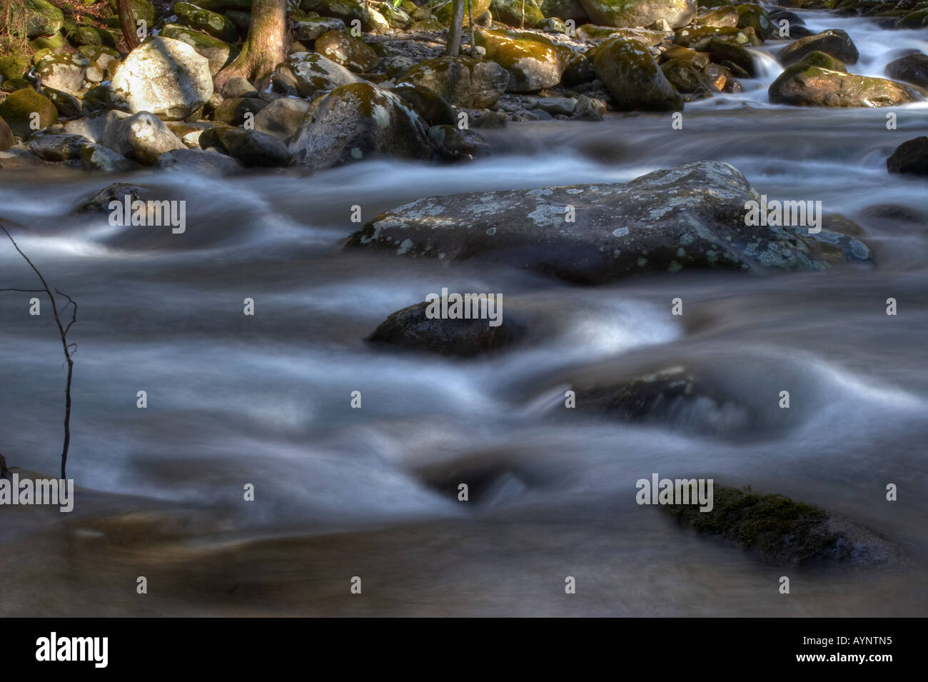 rocky bottom Stock Photo