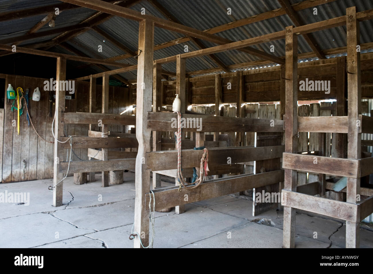 Milking stalls on an old dairy farm Stock Photo Alamy