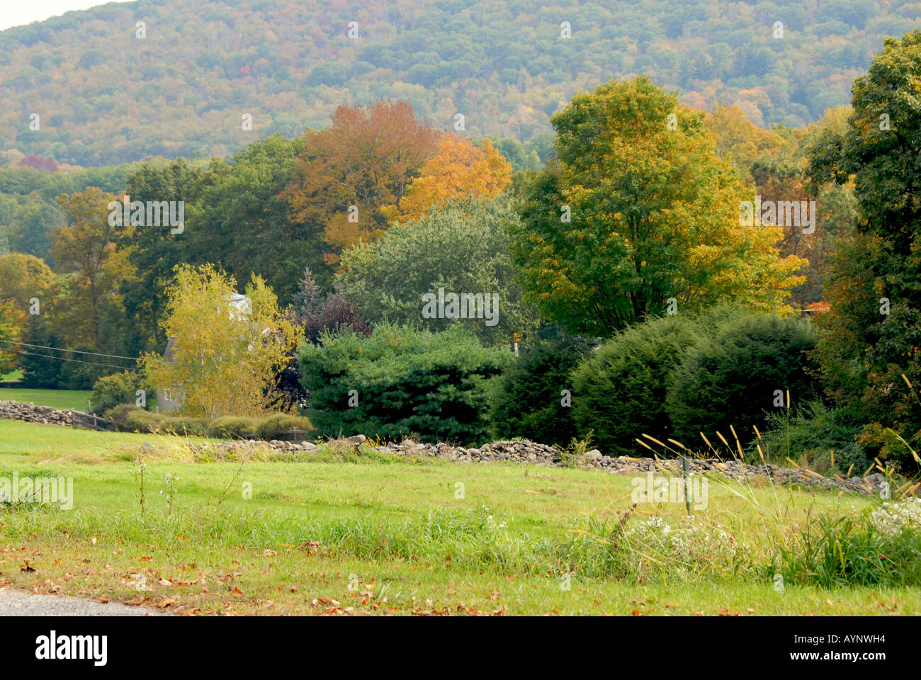 New england autumn trees hi-res stock photography and images - Alamy