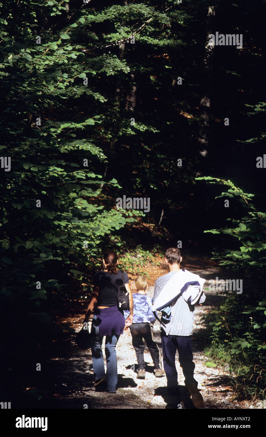 Walkers on the Leska Train in the Risnjak National Park Stock Photo