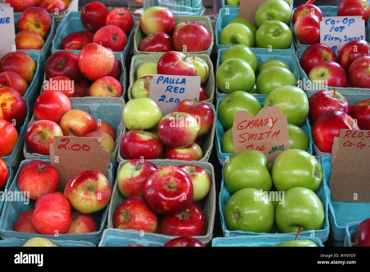 Apples at Farmer's Market, E USA, by Carol Dembinsky/Dembinsky Photo Assoc Stock Photo